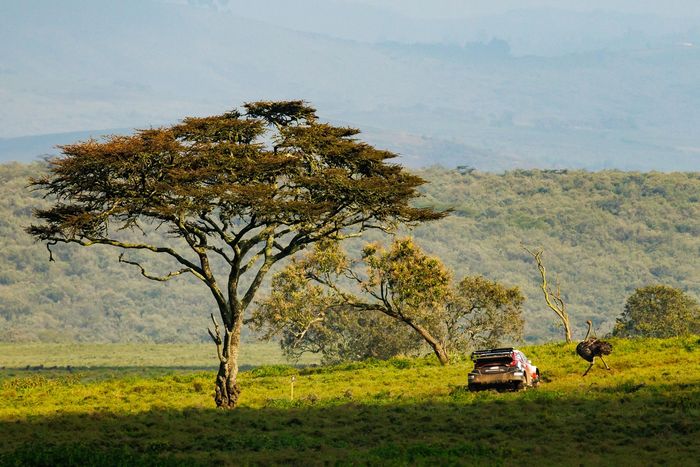 Сами Паджари, Марко Салминен, Toyota Gazoo Racing WRT2 Toyota GR Yaris Rally1
