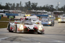 #60 Michael Shank Racing with Curb/Agajanian Ligier JS P2 Honda: John Pew, Oswaldo Negri, Olivier Pl