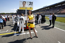 Chica de la parrilla para Tom Blomqvist, BMW Team RBM, BMW M4 DTM