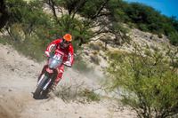 Alle Fotos