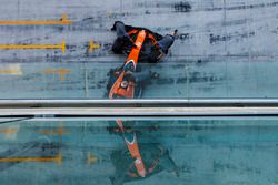 Stoffel Vandoorne, McLaren MCL32