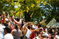 Fans gather in the grandstands