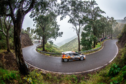 Алексей Лукьянюк и Алексей Арнаутов, Ford Fiesta R5