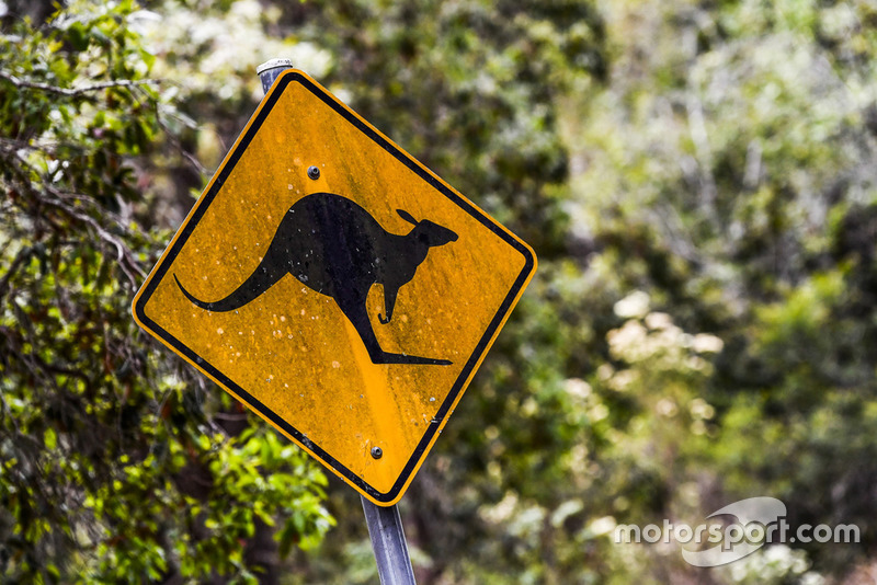 Rally Australia ambiente - canguro logo