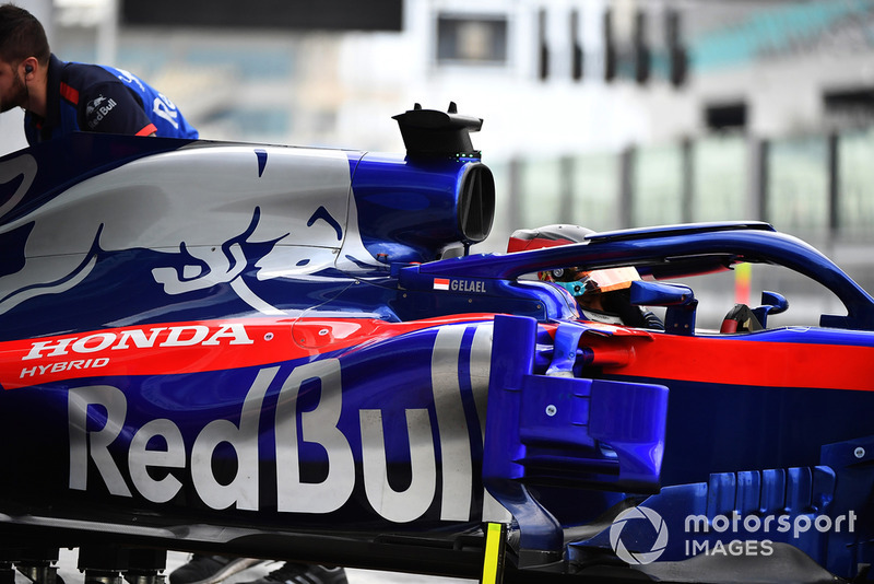 Шон Гелаэль, Scuderia Toro Rosso STR13