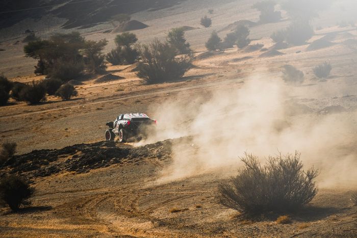 #227 Ford M-Sport Ford: Nani Roma, Alex Haro