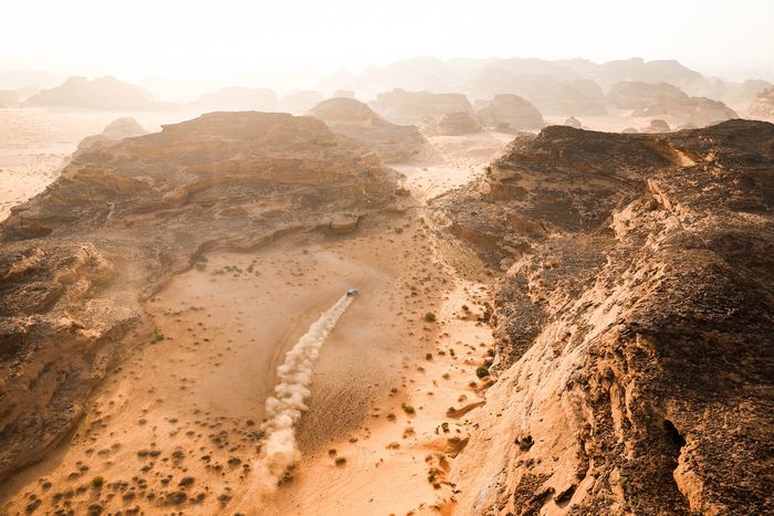 #225 Ford M-Sport Ford: Карлос Сайнс-старший, Лукас Круз