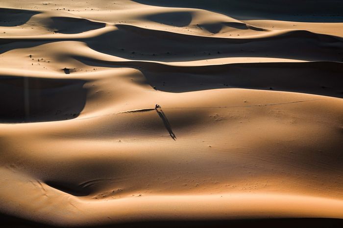 #73 Red Bull KTM Factory Racing KTM: Edgar Canet