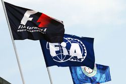 Les drapeaux de la F1 et de la FIA