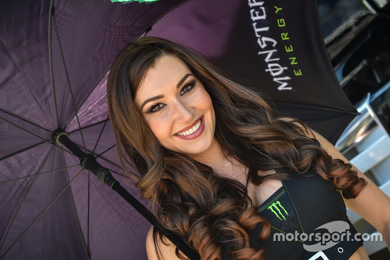 Monster Energy grid girl