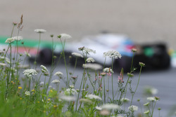 Lance Stroll, Williams FW41