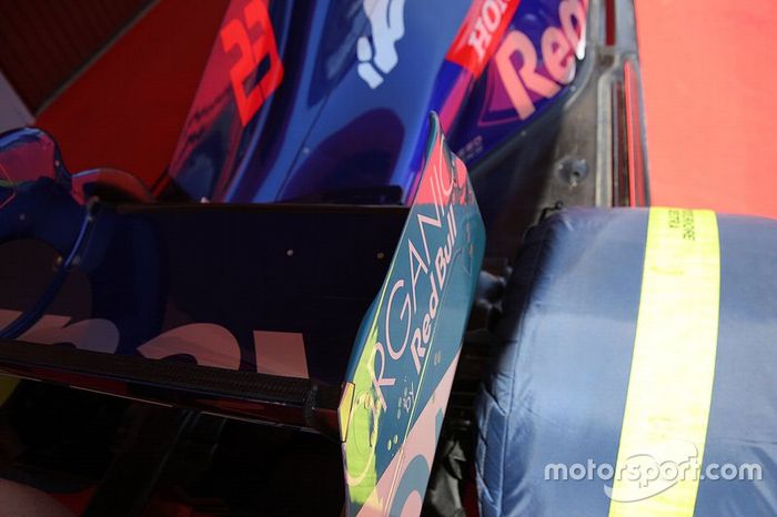 Detalle técnico del Toro Rosso