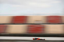 Stoffel Vandoorne, McLaren MCL32