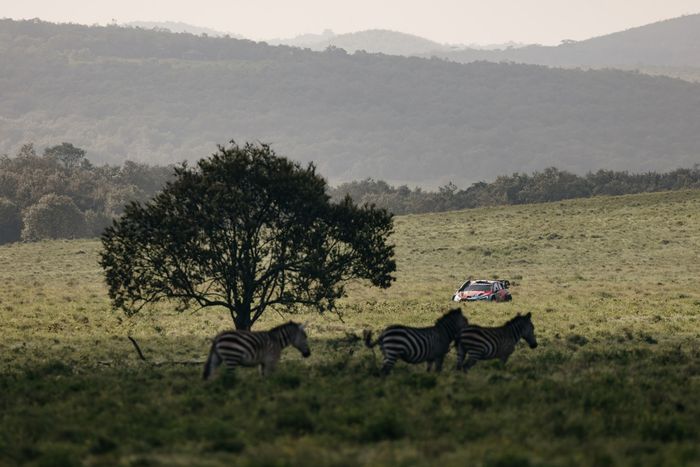 Эсапекка Лаппи, Энни Малконен, Hyundai World Rally Team Hyundai i20 N Rally1