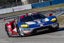#67 Ford Performance Chip Ganassi Racing Ford GT: Ryan Briscoe, Richard Westbrook