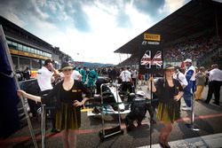 Chicas de la parrilla con Lewis Hamilton, Mercedes AMG F1