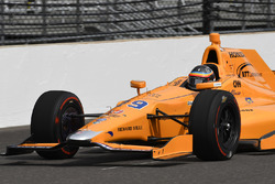 Фернандо Алонсо, Andretti Autosport Honda