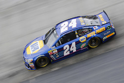 Chase Elliott, Hendrick Motorsports, Chevrolet