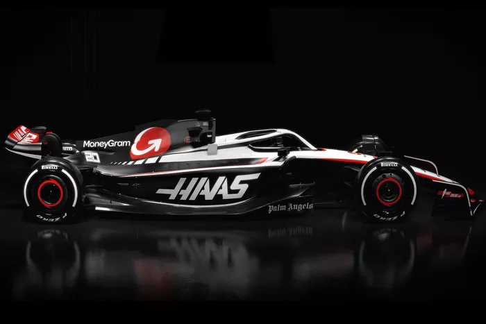 Decoración Haas VF-23
