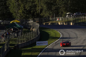 #31 Action Express Racing Cadillac DPi, P: Eric Curran, Felipe Nasr, Gabby Chaves