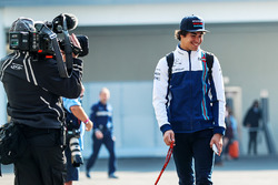 Lance Stroll, Williams