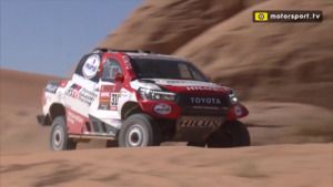 Resumen del Dakar de Fernando Alonso