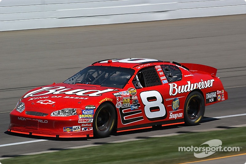 Budweiser