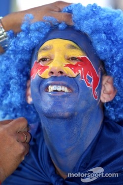 Red Bull Racing fan