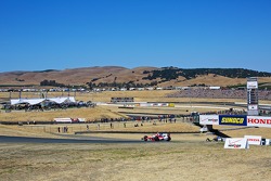 Justin Wilson, Dale Coyne Racing Honda