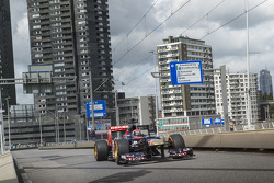 Max Verstappen, Toro Rosso