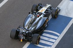Stdefel Vandoorne, piloto de pruebas del McLaren MP4-29H