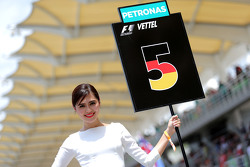 Chica en la parrilla. Sebastian Vettel, Scuderia Ferrari