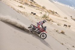 Javier Pizzolito, MEC - Team