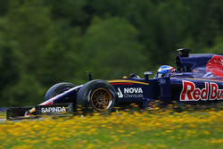 Marco Wittmann, pilote d'essais Scuderia Toro Rosso STR10