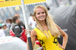 Grid Girl