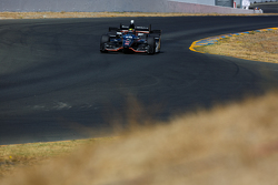 Gabby Chaves, Bryan Herta Autosport Honda