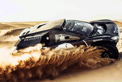 Peugeot 2008 DKR 16