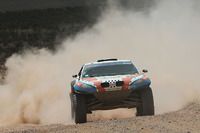 جميع الصور