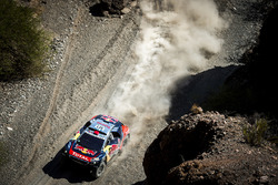 #321 Peugeot: Cyril Despres, David Castera
