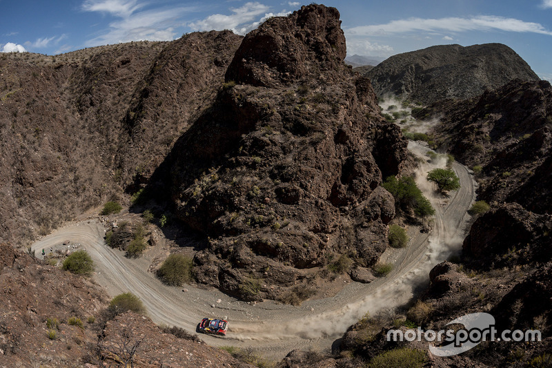 #321 Peugeot: Cyril Despres, David Castera