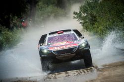 #321 Peugeot: Cyril Despres, David Castera