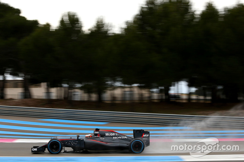 Stoffel Vandoorne, McLaren MP4-30