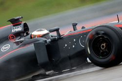 Stoffel Vandoorne, McLaren MP4-30