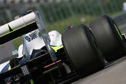 Дженсон Баттон, Brawn GP